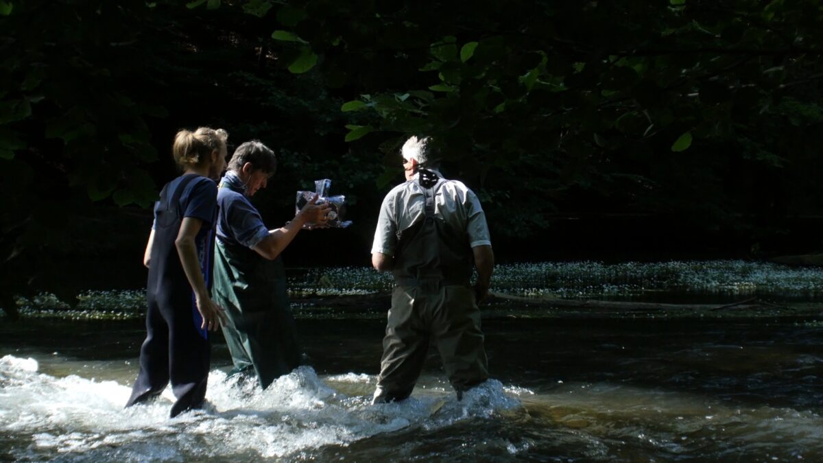 Unterwasserdreh im Mühlthal an der Würm